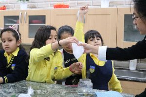 The English Playgroup School Science