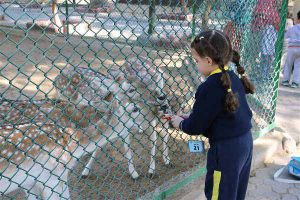 The English Playgroup School PS Salmiya Zoo Trip